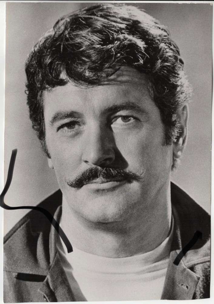 28x20cm Genuine DW Barite Archive Photo 1974 Rock Hudson