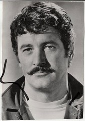 28x20cm Genuine DW Barite Archive Photo 1974 Rock Hudson
