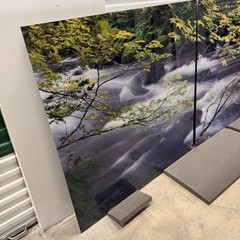 Peter Lik «Forest Dreams» 12 Foot Epic Washington Picture Recess