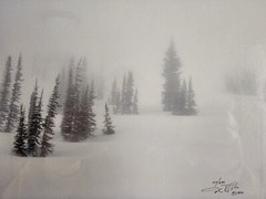 Signed David Whitten Limited Edition 35mm Photograph Print 17.5×14.75 Framed Art