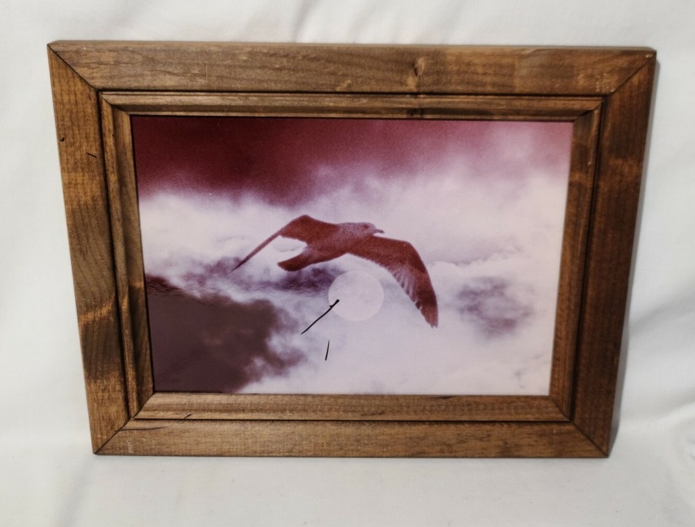 Vintage Clyde Butcher Original Photograph Art Framed Bird & Moon Photography