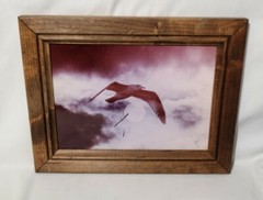 Vintage Clyde Butcher Original Photograph Art Framed Bird & Moon Photography
