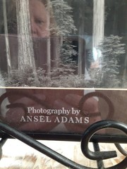 Vtg Ansel Adams Redwoods CA In Original Museum Graphics 8×10 Photo Ships Frm USA