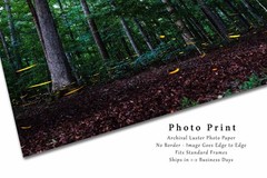 Fireflies Photography Print: Tennessee Lightning Bugs Forest Summer Nature Photo