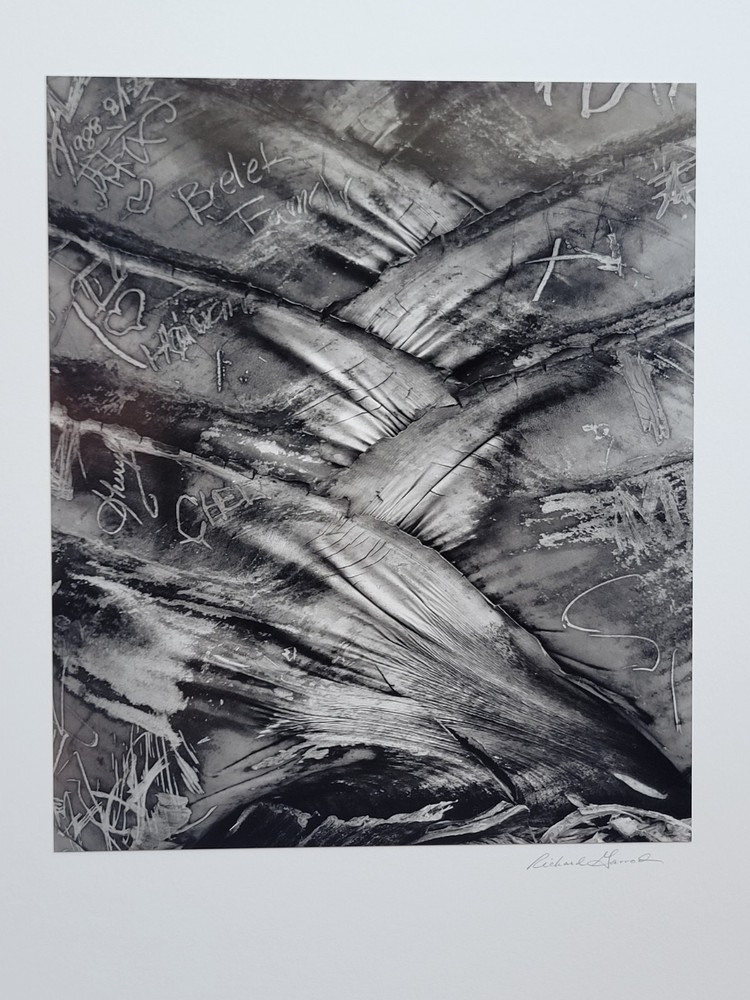 Richard Garrod, black and white photography, Palm Frond, Hawaii, 1984