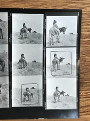 NEWLY FOUND! Hendrickson PHOTO Contact Sheet Proof & Negatives GIRLS RIDE DONKEY