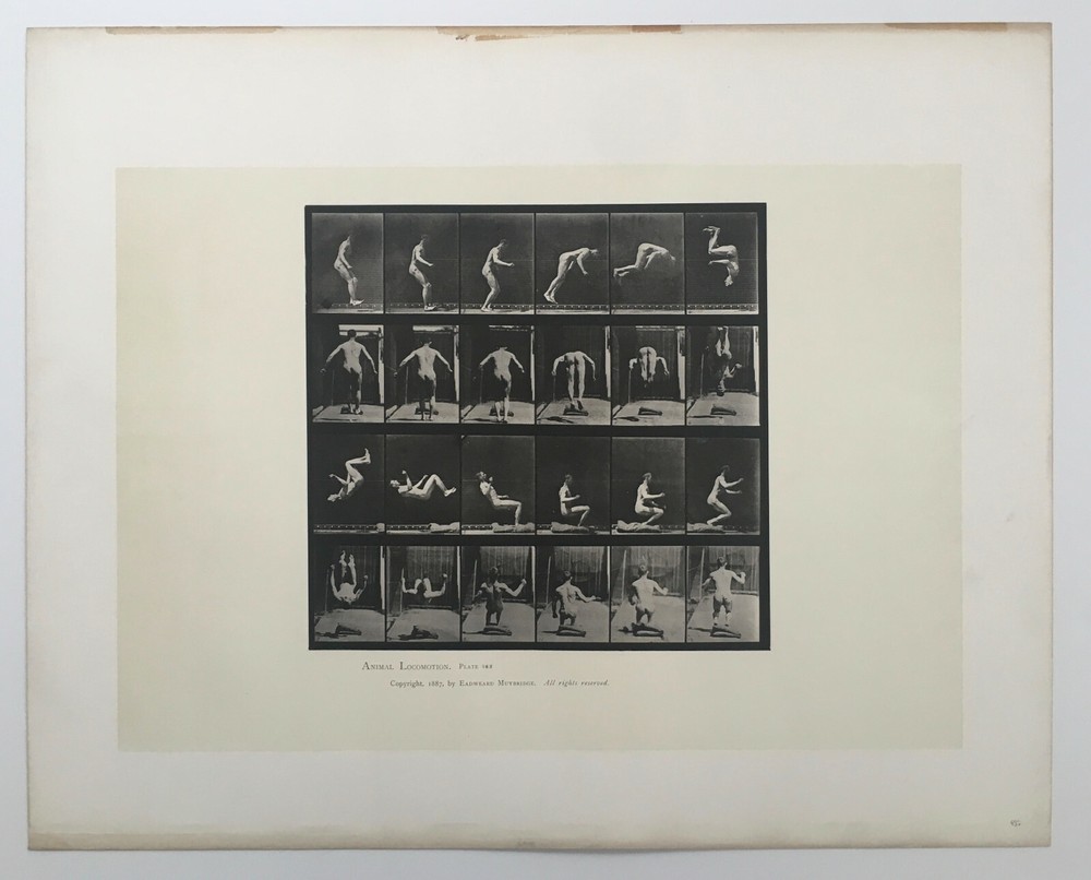 EADWEARD MUYBRIDGE authentic 1887 collotype ANIMAL LOCOMOTION PLATE 363 – lewitt