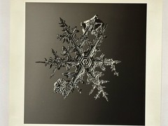 MIKE & DOUG STARN (Snowflake)’, «alleverythingthingthatisyou» SIGNED 392/500
