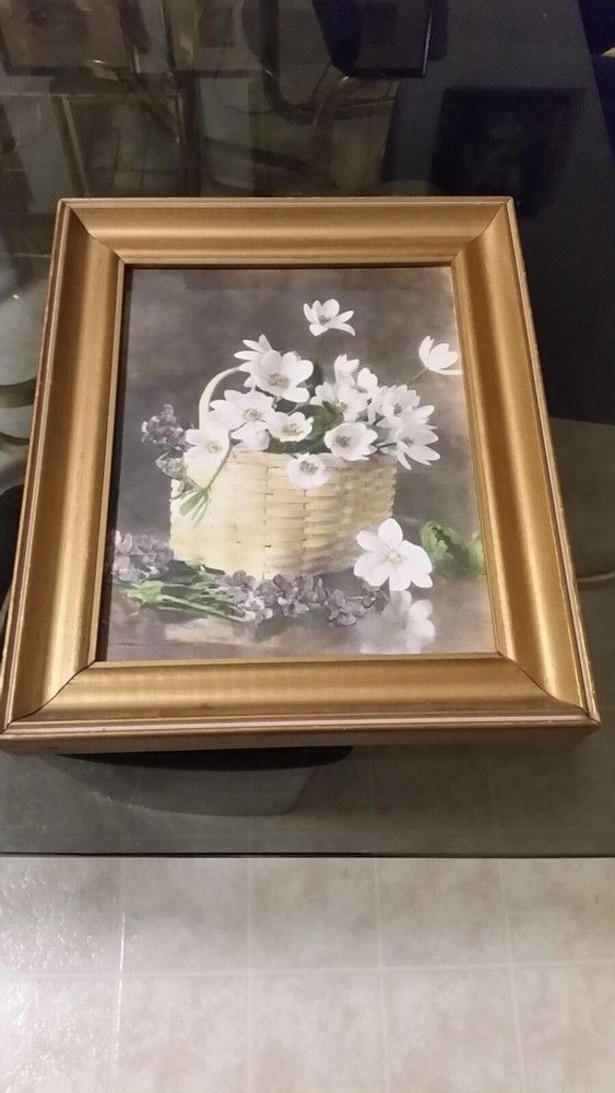 Rare Wallace Nutting Hand Colored Photo Floral #3563, all original.  