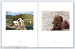 STEPHEN SHORE: Pet Pictures SIGNED Photo w/ Ltd Edition Book One Picture #73 NEW