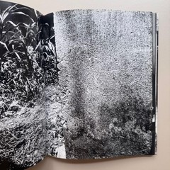 Daido Moriyama 2008 Fondation Cartier Paris Exhibition Catalog