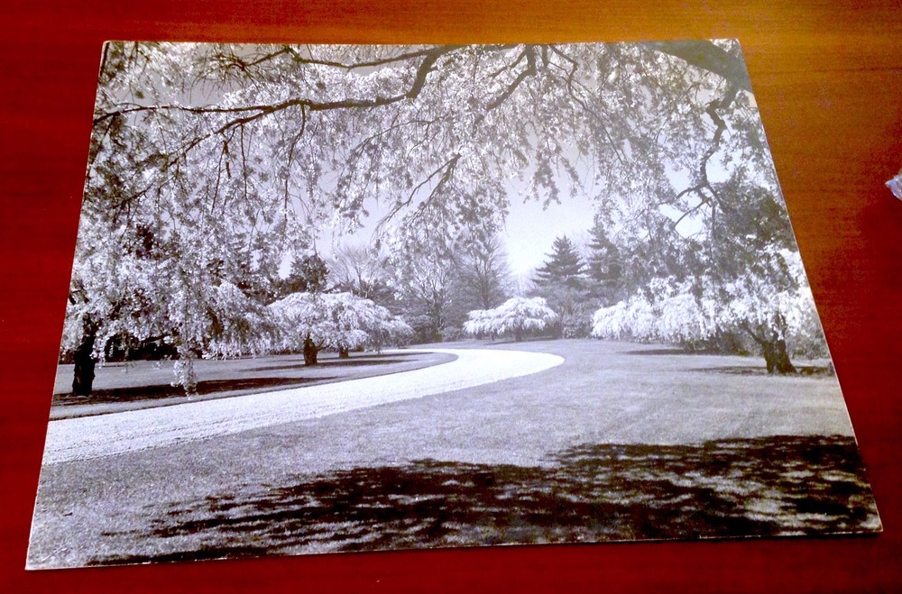 SAMUEL H. GOTTSCHO Vintage 1940s Landscape Gelatin Silver Photo on Board 19 x 15