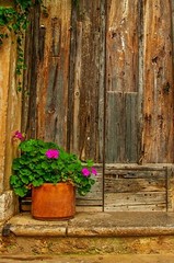  fine art wall art office art flowers Italy architecture wooden fence texture 