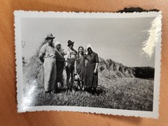 Photo Harvest Hay Harvest Farmer Agriculture Agricultural Equipment FQ