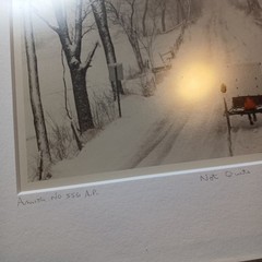 Bill Coleman Amish Country Photograph «NOT QUITE» #556 SIGNED Ltd Ed Proof Buggy
