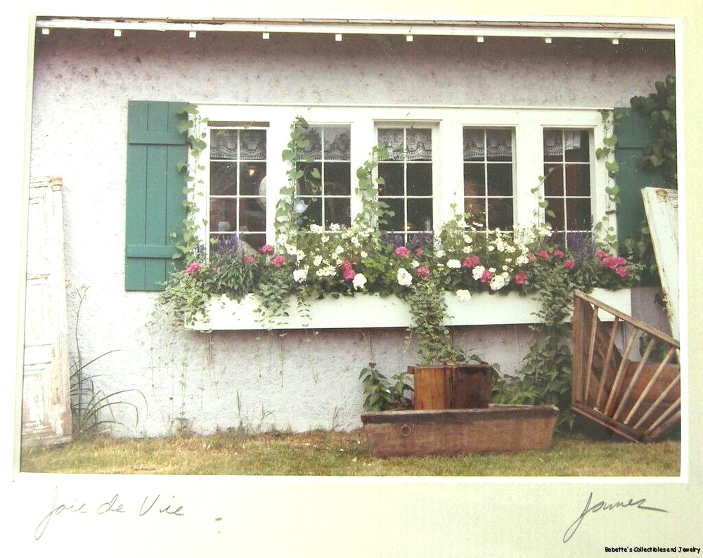 Art Photo «Joie de Vie» Window with Flowers by Paul C James Matted 5 x 7 inches