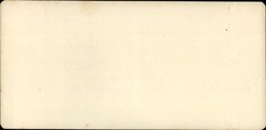 Stereo Photo Sarajevo Bosnia Herzegovina, Circa 1905, Goat Bridge – 10496202