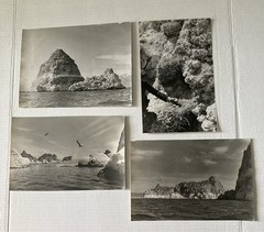 Vintage B&W Photos Pyramid Lake Nevada Landscapes Original 1950’s Lot of 16