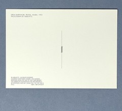 Drew Barrymore Art Print Card 1993 Photo By Herb Ritts Fotofolio 4”x6”
