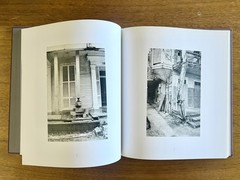 Mark Swope, Paint & Memory (2006)