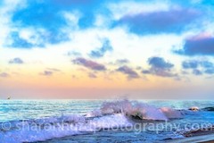 Balboa Beach photography print nature wall deco