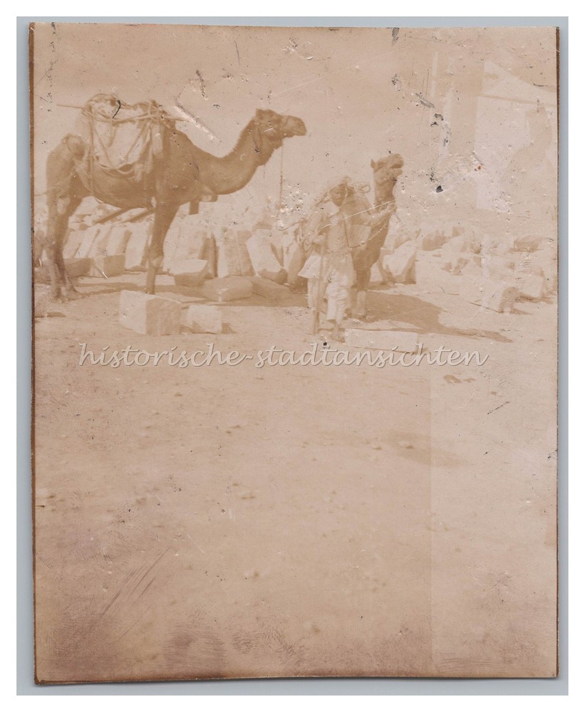 Helwan / Egypt 1902 – Quarry Cargo Camels with Stones – Old Photo 1900s