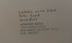 Original Signed HOWARD BOND ‘Leaves w/ Rain» Delhi Rapid Huron River Photograph