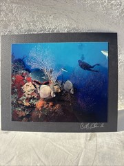 CATHY CHURCH Photograph «Gray Angels on Sunset Reef» 10″x8” Signed on Board