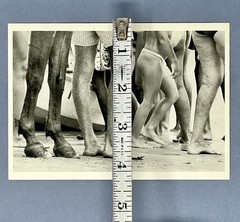 Elliott Erwitt (1928-2023) Art Photo Print Card 4×6” Brazil 1990 Feet Fotofolio