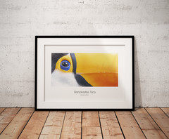 multiple original artwork photography from Argentina and Brazil