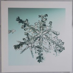 Doug Starn / SNOWFLAKE PRINT SIGNED ALLEVERYTHINGTHATISYOU SNO6_034.1 8 x 8 1st