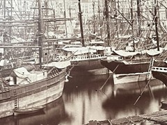 2 Album Photo Giacomo Brogi Circa 1870 Port Naples Napoli Italy 25x19cm (11+12)
