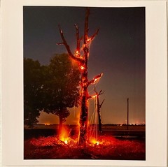 Jim Goldberg «Controlled burn, Wynne Arkansas USA 2021» Magnum photograph SIGNED