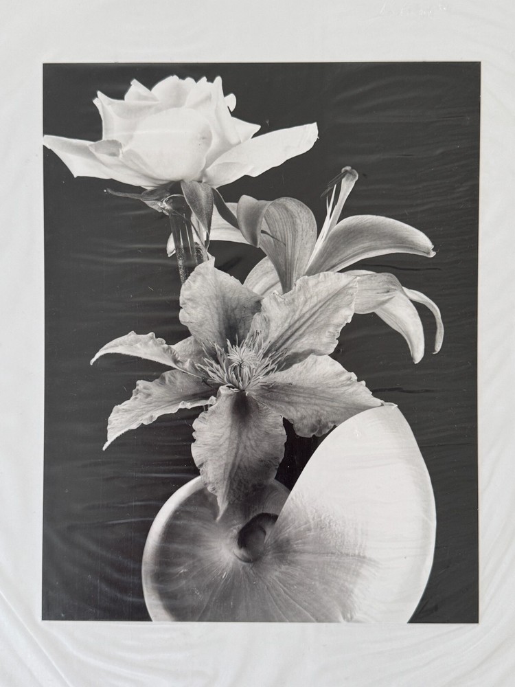7×9 Black & White Stephen Stoneberg (Asheville, NC) Photographs on 13×14 Mattes
