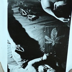 Photograph Print Janine Gordon Signed » B/W Brooklyn Gang Mask Poetic Fine Art
