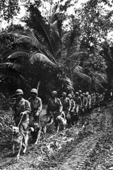 New World War II Photo: Marine Raiders & Scouting Dogs, Bougainville – 6 Sizes!