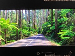 Peter Lik – Original Panoramic Slide Pieces of Film: Qty-5 (Very Rare Items)