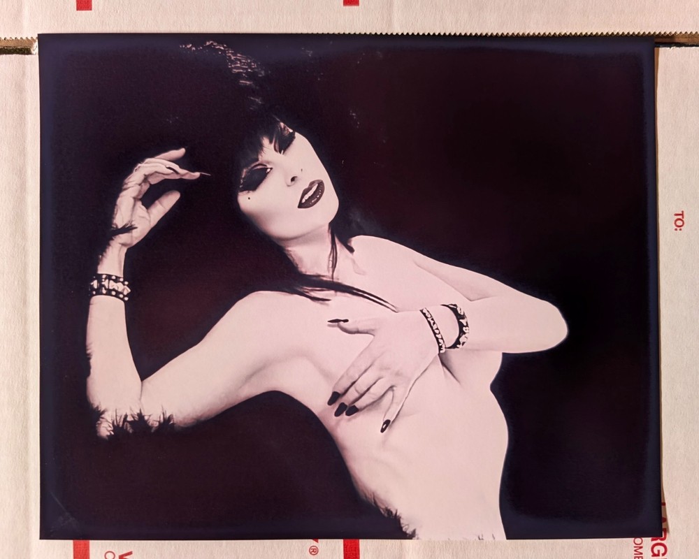 Elvira Cassandra Peterson 8×10 Photo Art Print Sexy Model Onlyfans Halloween