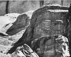 Book Plate Ansel Adams B/W 7.5 X 6″ Aspen grove, North Rim,Grand Canyon AZ 1942