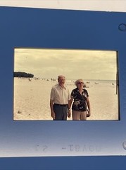 Lot Of 36 November 1981 Florida Trip Amateur 35mm Color Slides