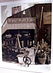 NEW Signed Harriet Duncan Art Print «White Wolf Cafe» Orlando FL Location Framed