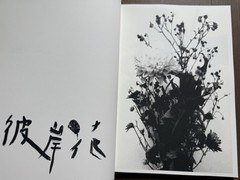 🎈SIGNED w Drawing! Nobuyoshi Araki – HANA-JINSEI, 2002 Japan Limited Ed, Unique