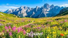 Digital Image Picture Photo Wallpaper Background Desktop AI Art Sample Product