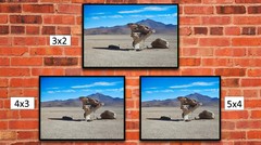 Rock Tree in Uyuni Desert, High Resolution Image, Many Formats, TV Art