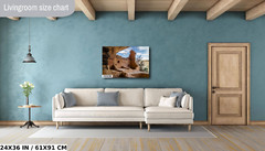 Up Close with History: Balcony House, Mesa Verde National Park Print