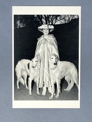 Dietmar Busse Art Photo Print Card – Lady Walking Her Dogs In Central Park, 1996