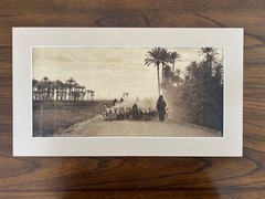 Lehnert and Landrock Antique Photo «Egypt, Shepard Driving Homeward» w/ Matt