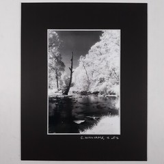 Black Mat Photo Landscape Park Infrared Photography Limited Ed 2/2 Signed Print