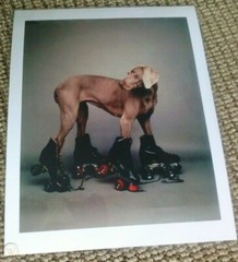 WILLIAM WEGMAN ‘Roller Rover’, 1987 SIGNED Ltd. Ed. Photograph 14 x 11 in. *NEW*