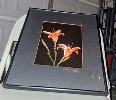 Cibachrome ART PRINT Signed & Framed Print Tony Festa RARE